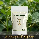 IAA image 4.webp