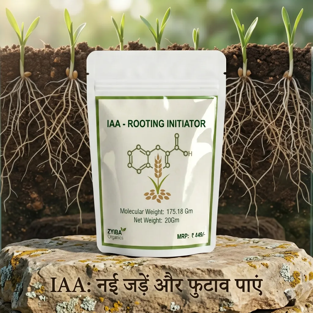 IAA image 1.webp