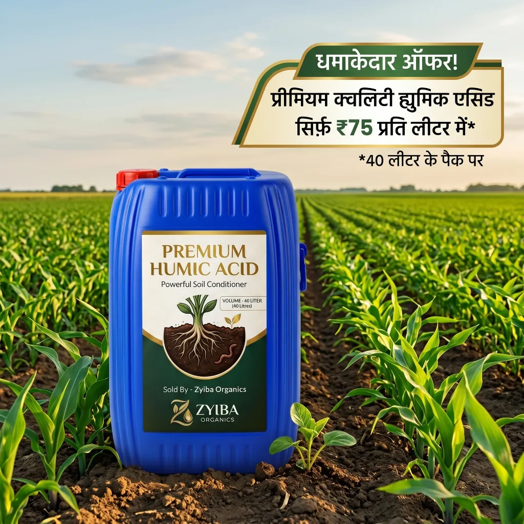 Ads Image 40 liter humic 1.webp