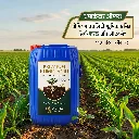 Ads Image 40 liter humic 1.webp