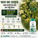 zymino ad 11.webp