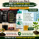 zymino ad 2.webp