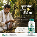 zymino ad 4.webp