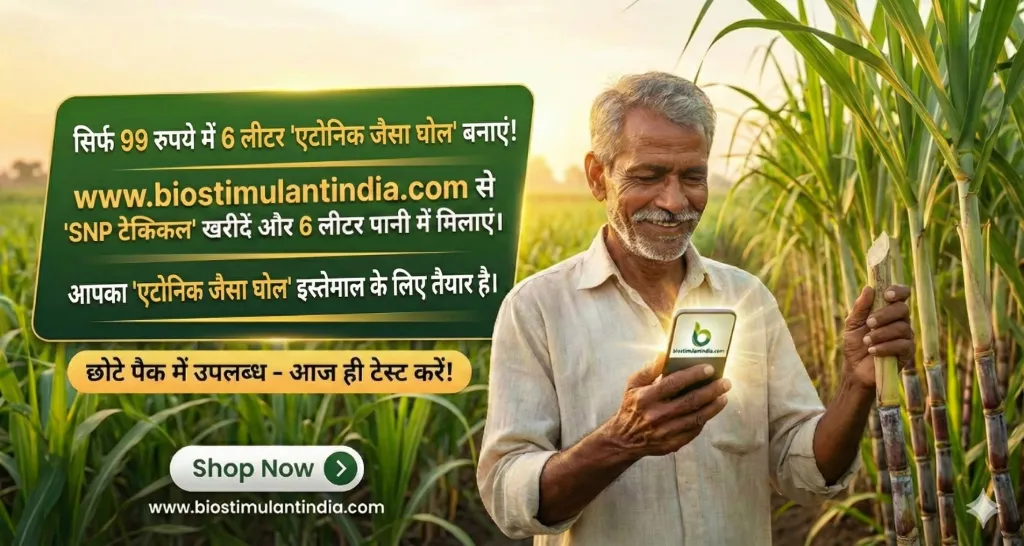 SNP biostimulantindia.com 1 (2).webp