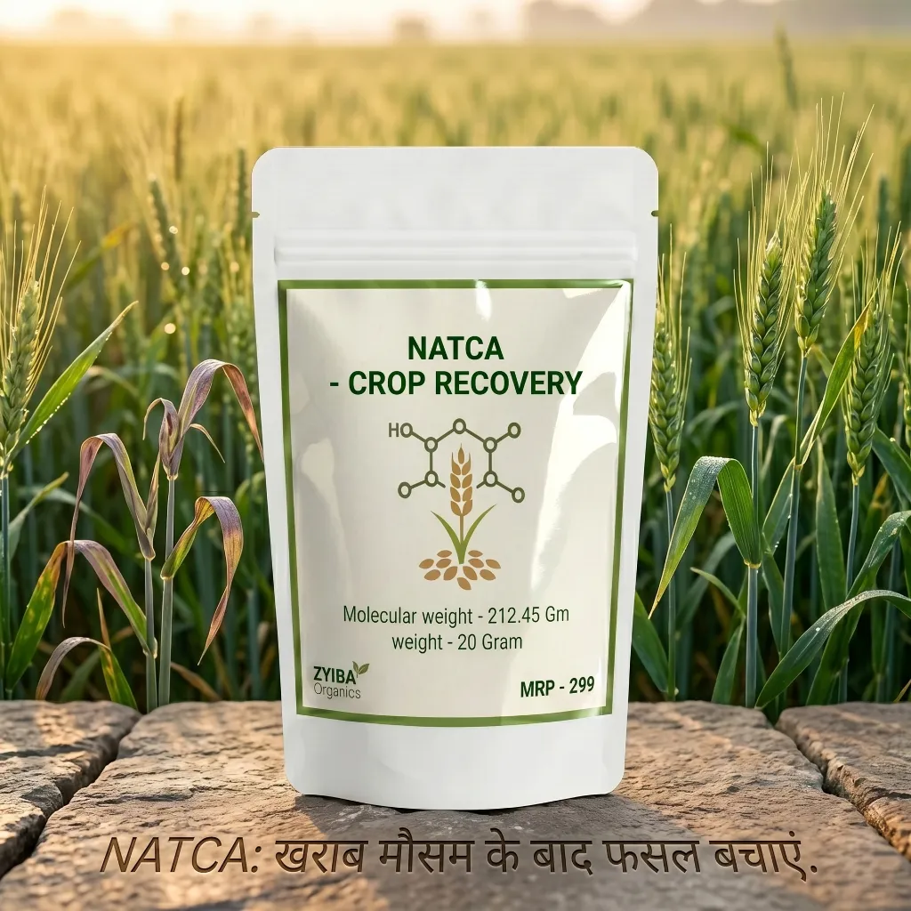NATCA image 3.webp