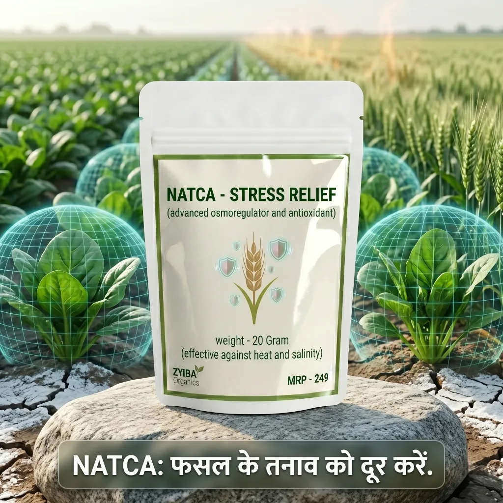 NATCA image 4.webp