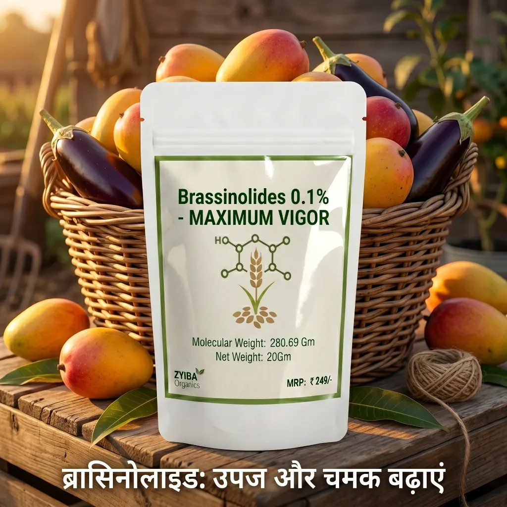 Brassinolide image 2.webp