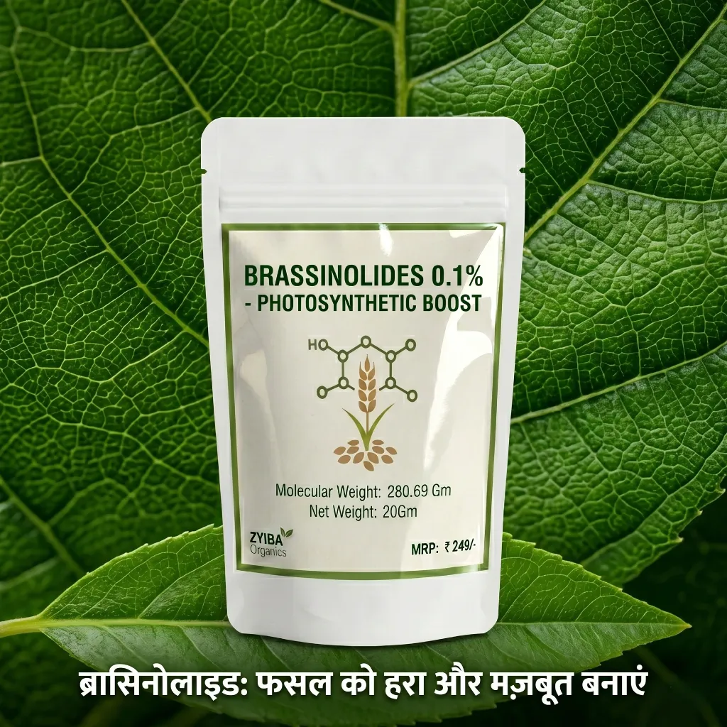 Brassinolide image 3.webp