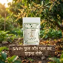 snp image 2.webp