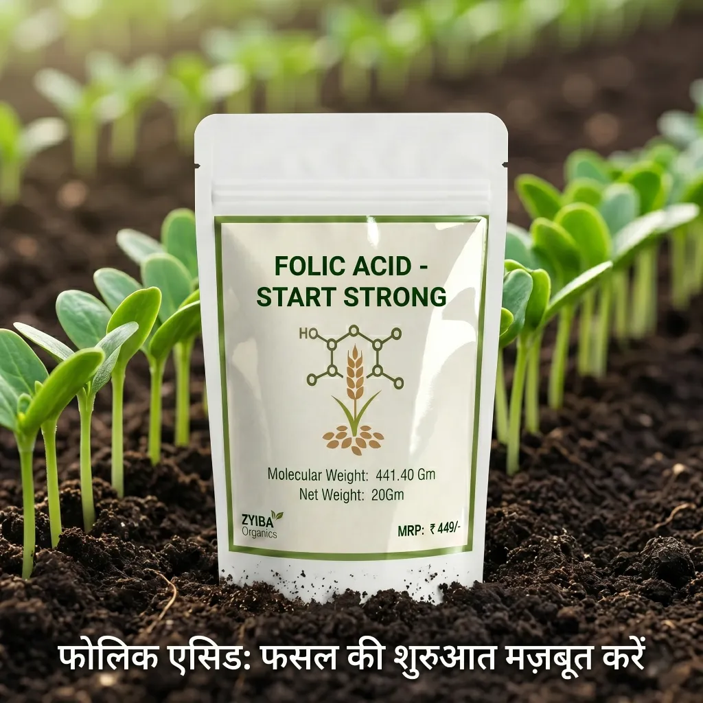 Folic Acid image 1.webp