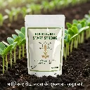 Folic Acid image 1.webp