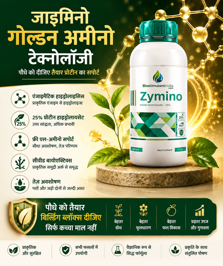 Zymino